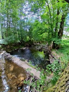 Gite de l'Écureuil - Saint-Maurice-sur-Moselle - 2