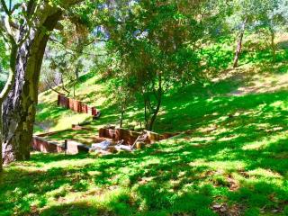 Hollywood Hills Spa Retreat with Jacuzzi Style Tub, Steam Room, Tree-Top Views Garden Patio - Los Angeles - 3