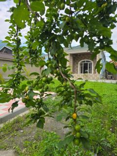 Garden Villa Shamil - Gabala - 7