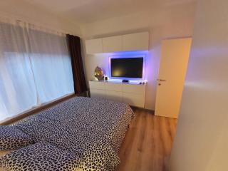 Antwerp Hideaway, outside of low emission zone - Antwerpen - 4
