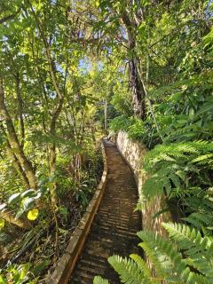 Classic Piha Bach - Seaview Road - Piha - 3