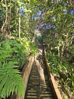 Classic Piha Bach - Seaview Road - Piha - 2