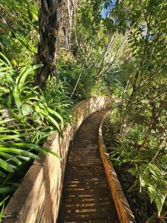 Classic Piha Bach - Seaview Road - Piha - 1