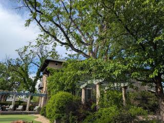 Luxury at the 1912 Sharp Mansion - 8