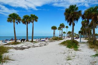 Dockside Dreams - Tarpon Springs - 5