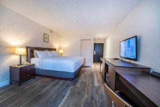 Hotel International - 7