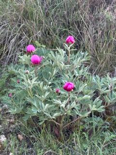 Casa del Espliego - 9