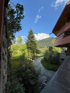 Ermi Apartment Temù - Temù - 5