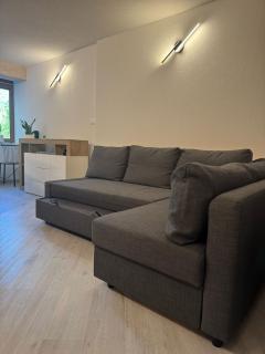 Ermi Apartment Temù - Temù - 3
