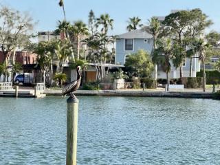 Canal-View Gem with Pool in Treasure Island Paradise - 2