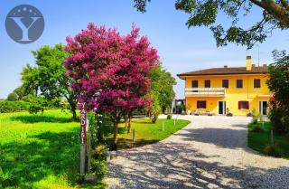 YARD 151 - Noventa di Piave - 1