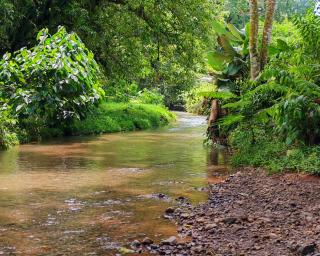 Ceibo Lodge - - 8