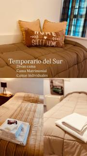 Temporario del Sur - Santiago del Estero - 0