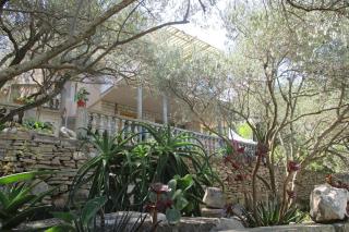 Apartments by the sea Cove Bristva, Korcula - 15205 - Blato - 4