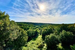 Family-friendly apartments with swimming pool Donji Zagon, Novi Vinodolski - 24555 - Novi Vinodolski - 8