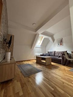 Alexandro Apartmani Zlatibor - Zlatibor - 8