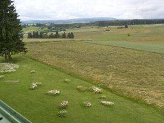 1-bedroom holiday apartment - Dittishausen - 6