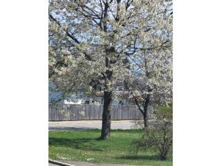 1-bedroom holiday apartment - Dittishausen - 2
