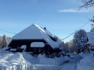 Country house on the Dachsberg - 9