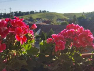 1-bedroom holiday apartment - Ofemburgo - 5