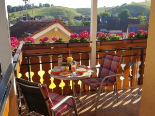 1-bedroom holiday apartment - Ofemburgo - 9