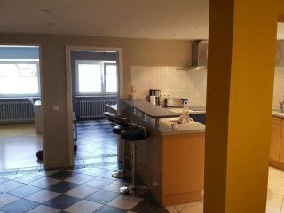 1-bedroom holiday apartment - Ofemburgo - 1