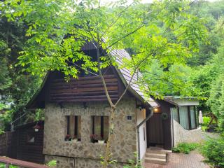 Patak Dream House - Szokolya - 9