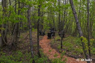 Le Bosquet - Wooded Escape & Modern Comfort - Private Spa - 9