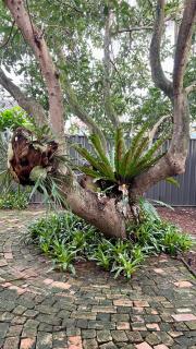 Coastal Drift - One - Small Dog Friendly - 2