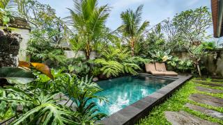 Villa Marmut Ubud - 6