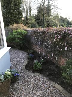 Beautiful cottage near M1 J26 - Kimberley - 5