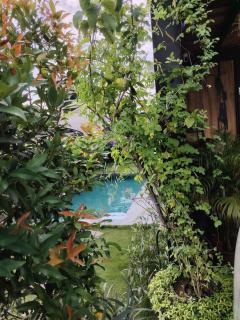 The Green Escape Private pool kl - Kuala Lumpur - 1