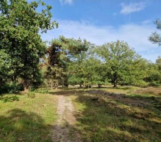 Nette chalet nabij het bos - 8