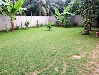 Purnima Guest House - Kalkudah - 3