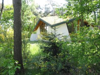 Ecological home surrounded by nature - Herpen - 0