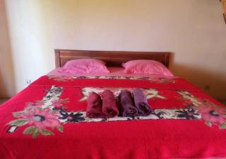 Kita Garden Homestay - Huu - 8
