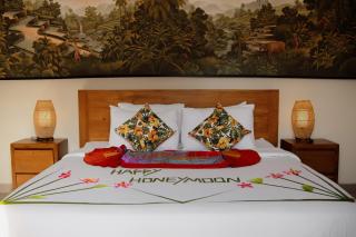 Luxury Nanda villa Ubud - 8