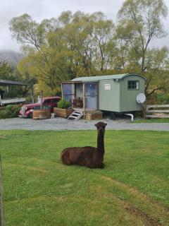Shepherds Hut Gateway to Tekapo and the MacKenzie District - Burkes Pass - 1