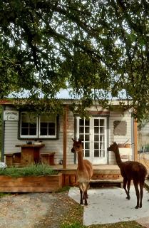 Three Creeks Cottage Gateway to Tekapo and The MacKenzie District - Burkes Pass - 1