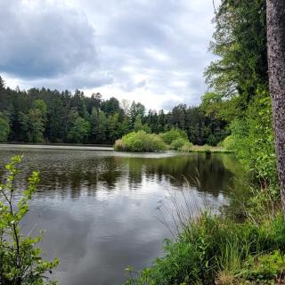 Haus Waldviertel am Herrensee - 1