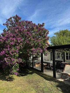 Family-Friendly Villa In Quiet Neighbourhood - Skagen - 4