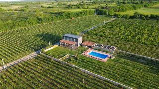 Chateau Resse - Telavi - 0