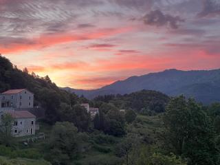 appartement de montagne corsica - Zicavo - 7