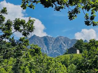 appartement de montagne corsica - Zicavo - 2