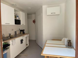 appartement de montagne corsica - Zicavo - 8