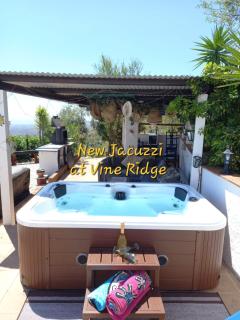 Vine Ridge Studio and Apartment - Comares - 0