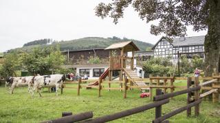 Ferienbauernhof Gördes - Schmallenberg - 9