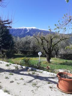 La tonnelle - 5