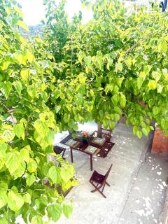 Mi casa soñada - Sant Pere de Ribes - 9