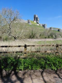 Sunray - Langton Matravers - 8
